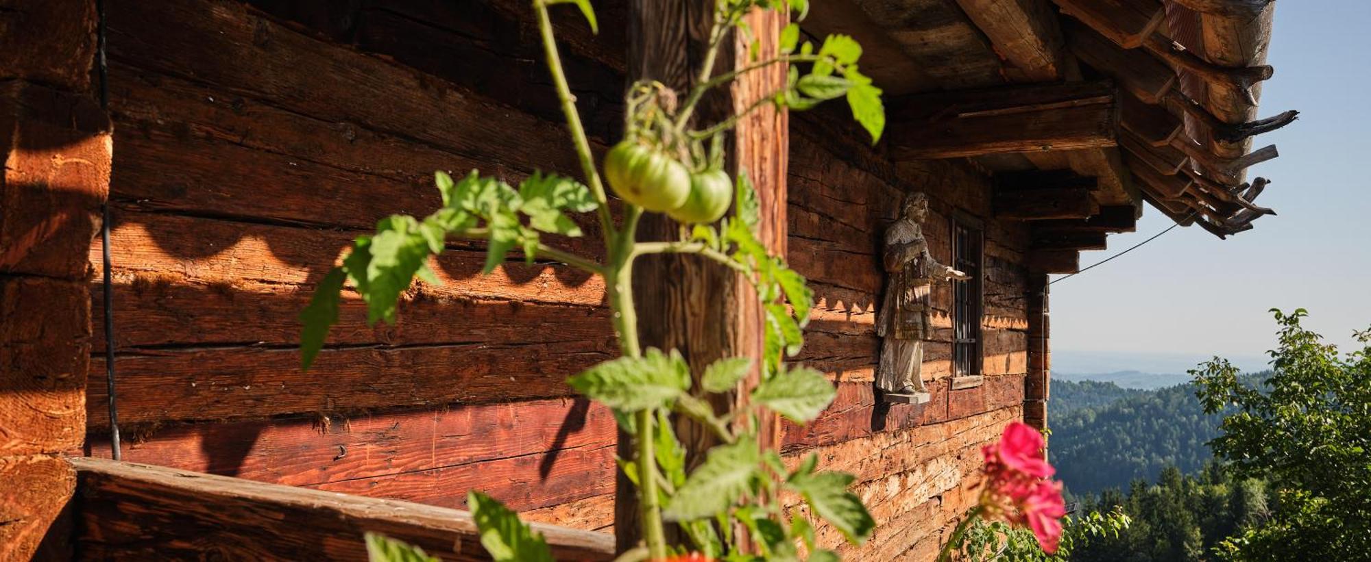 Chalets Toplak Sveti Duh na Ostrem Vrhu Exterior photo