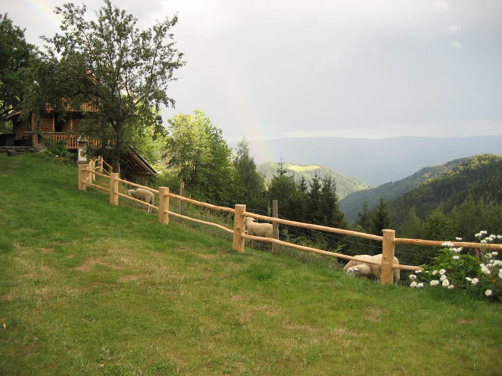 Chalets Toplak Sveti Duh na Ostrem Vrhu Exterior photo
