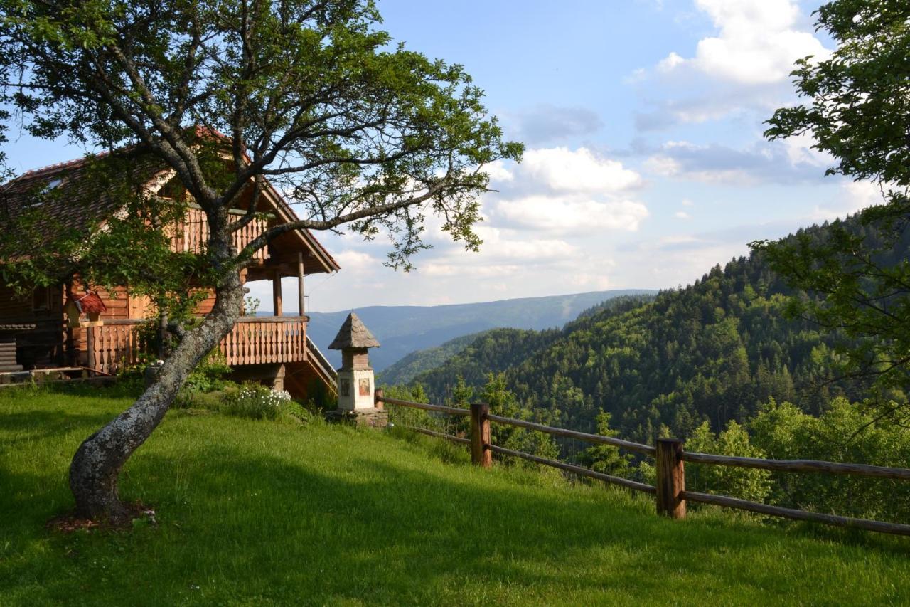 Chalets Toplak Sveti Duh na Ostrem Vrhu Exterior photo